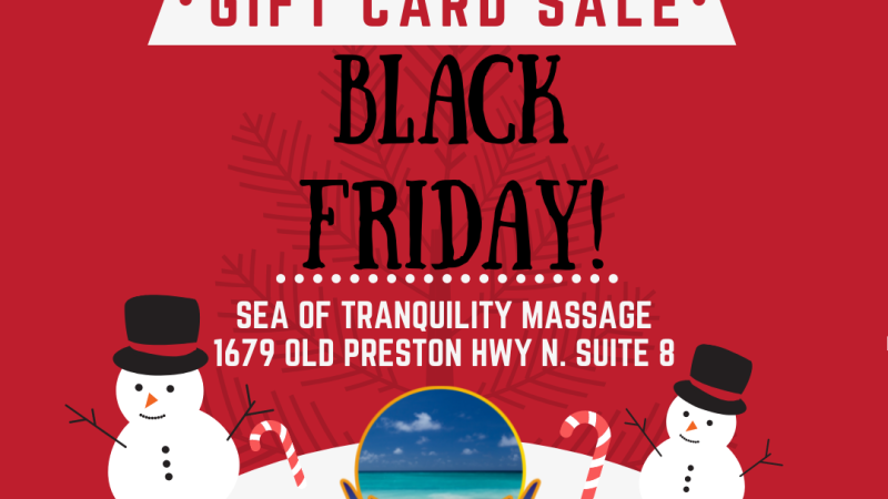 🎅⛄️ BLACK FRIDAY SALE! ⛄️🎅